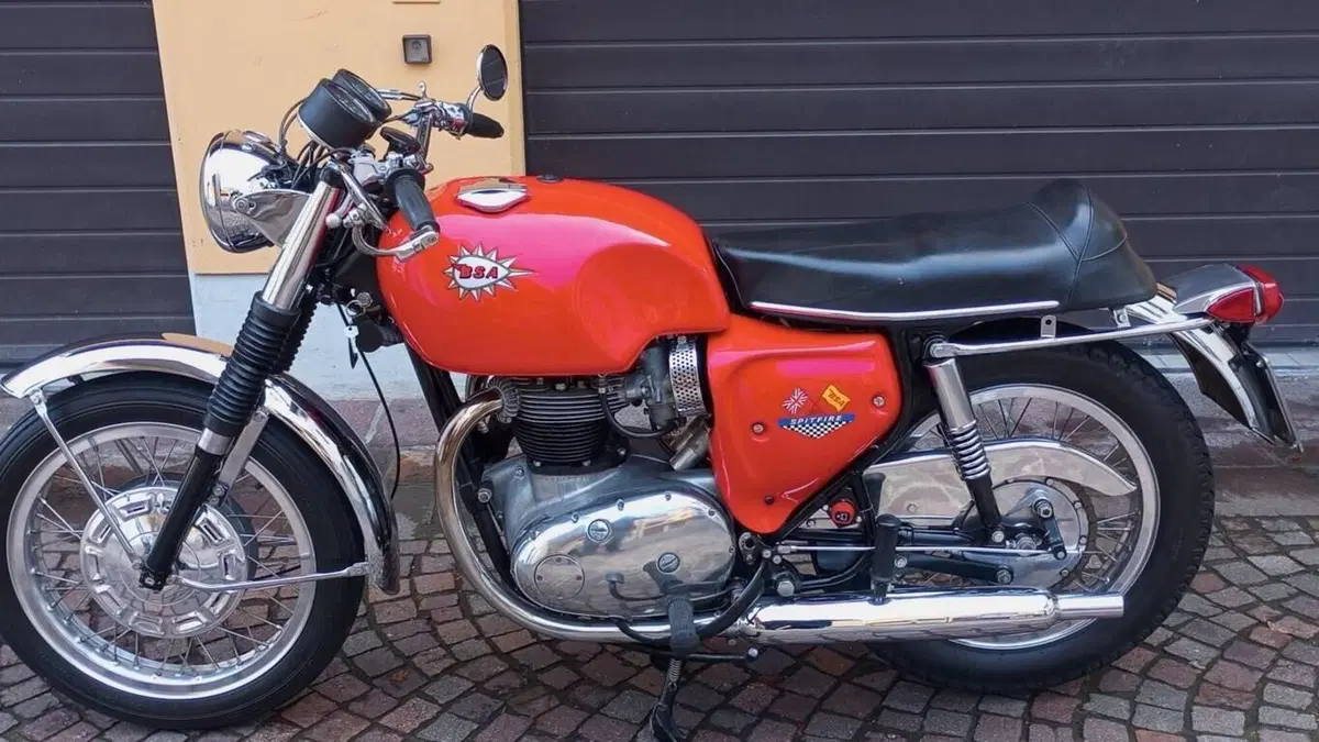 Bsa   (2)