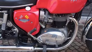 Bsa   (3)