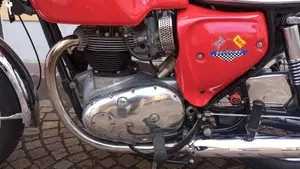 Bsa   (5)