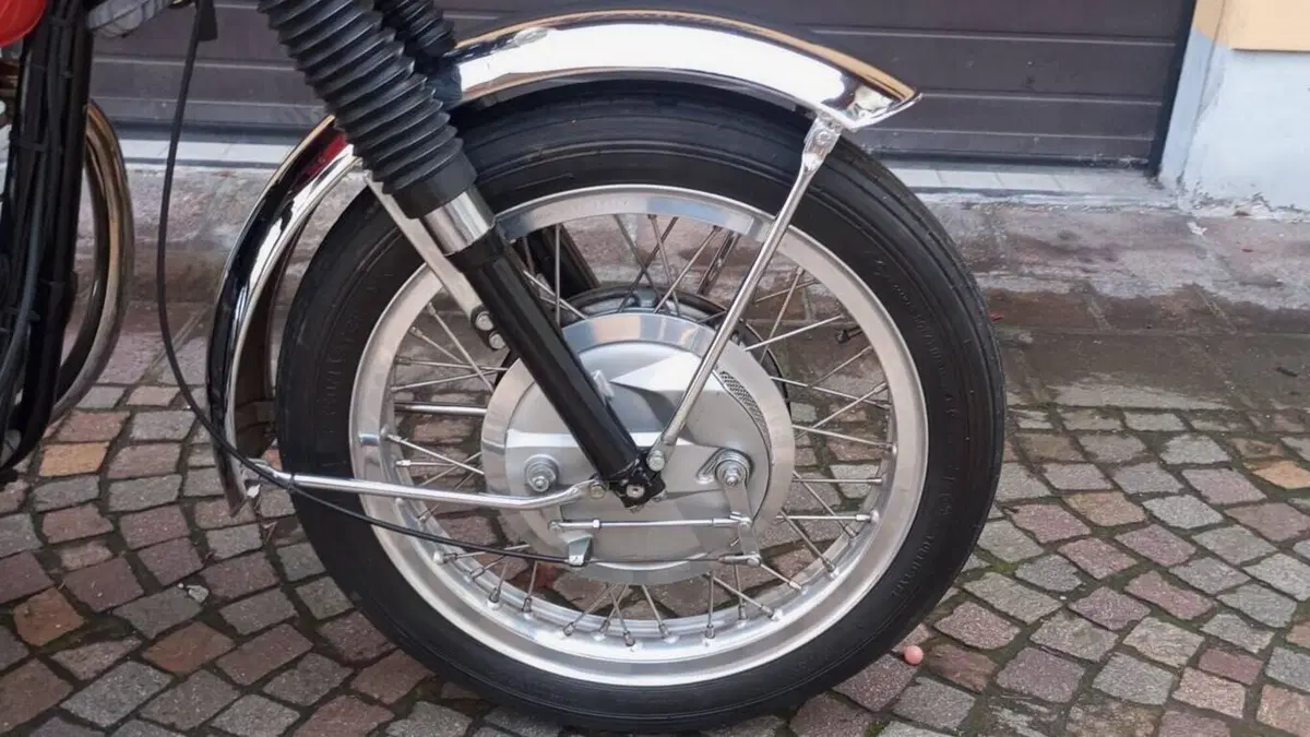 Bsa   (10)