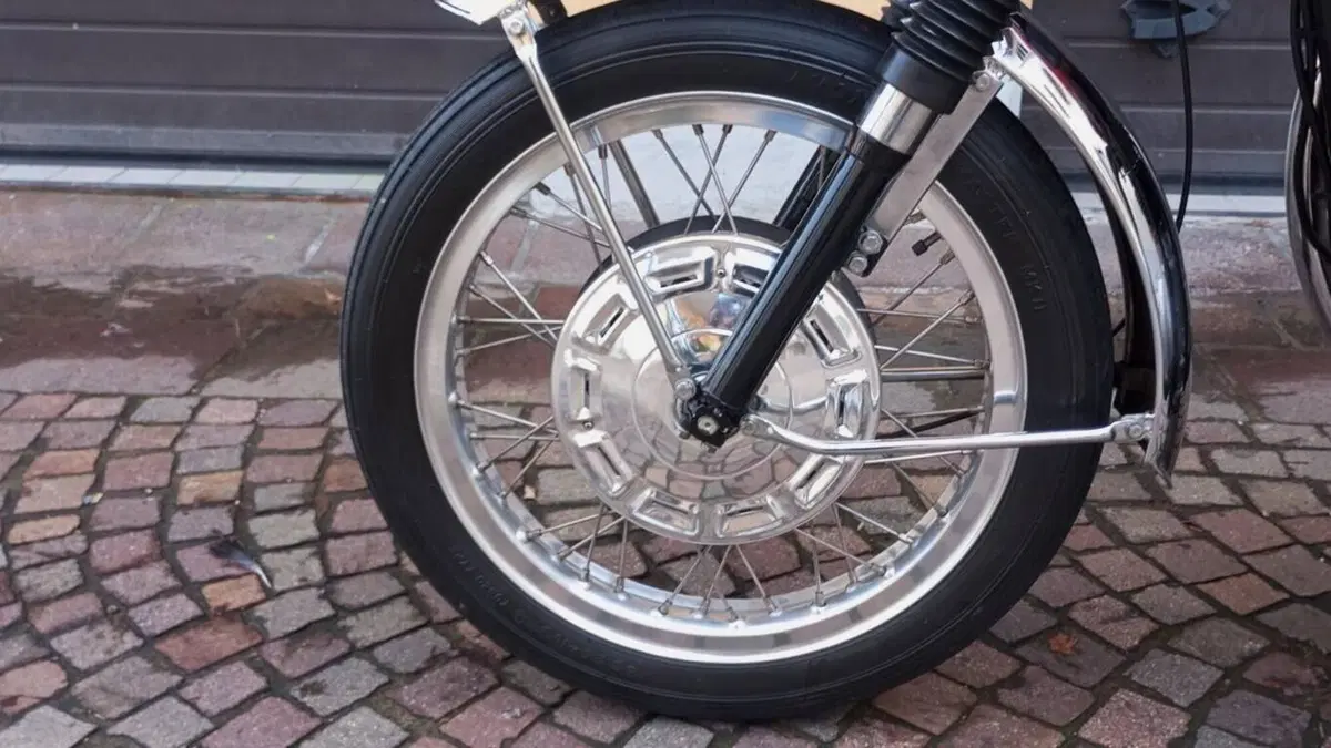 Bsa   (14)