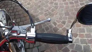 Bsa   (17)