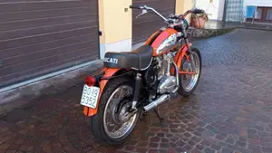 Ducati   (19)