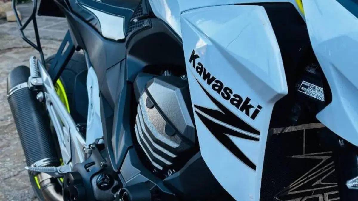 Kawasaki Z 800 e (2012 - 13)  (6)