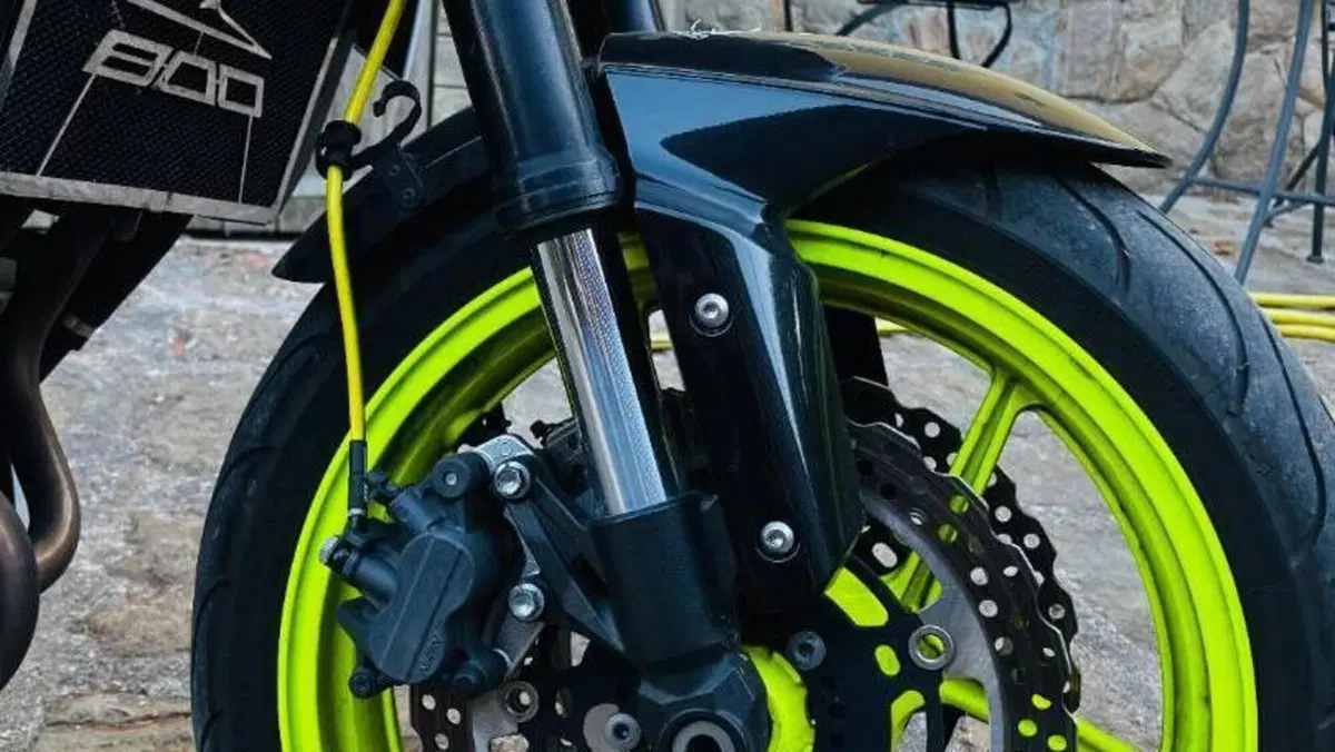 Kawasaki Z 800 e (2012 - 13)  (15)
