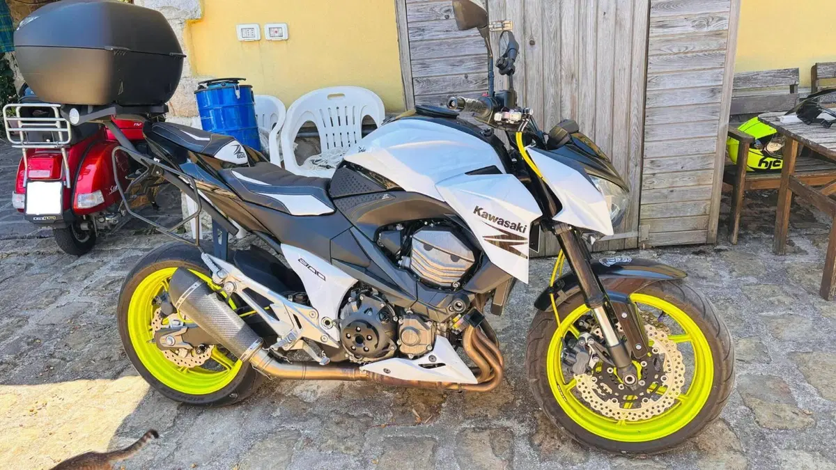 Kawasaki Z 800 e (2012 - 13)  (2)