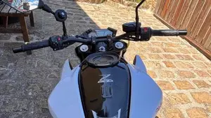 Kawasaki Z 800 e (2012 - 13)  (11)