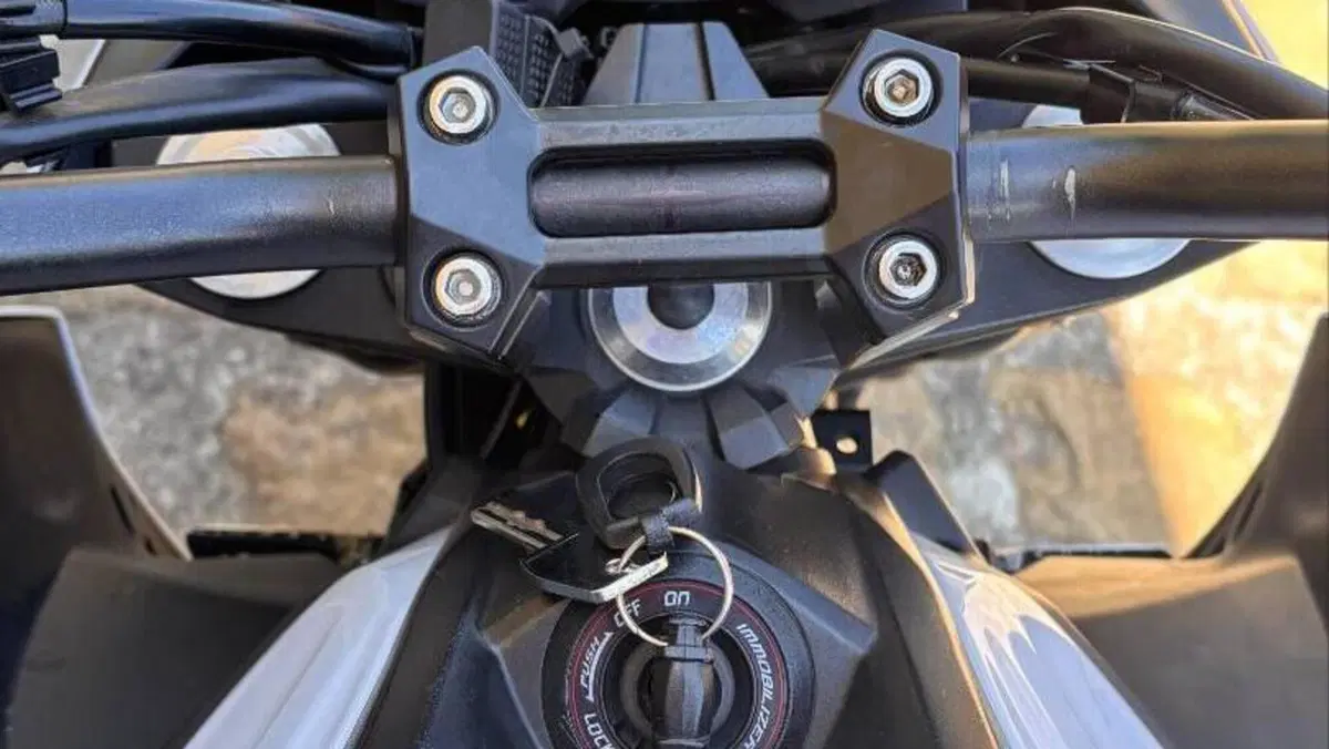 Kawasaki Z 800 e (2012 - 13)  (12)