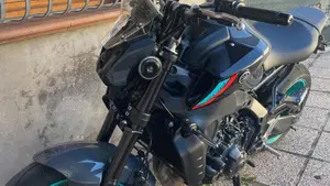 Yamaha MT-09 (2021 - 23)  (3)