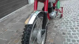 Maico   (19)