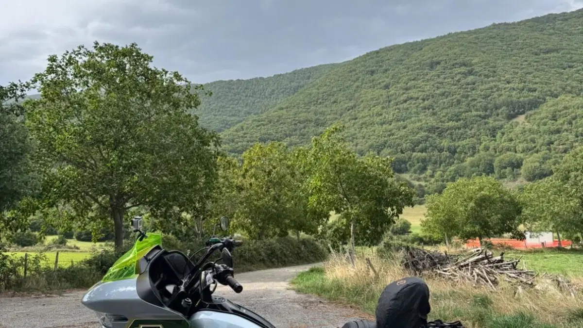 Harley-Davidson Road Glide (2024 - 26)  (9)