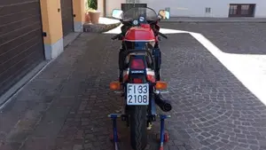 Suzuki   (20)