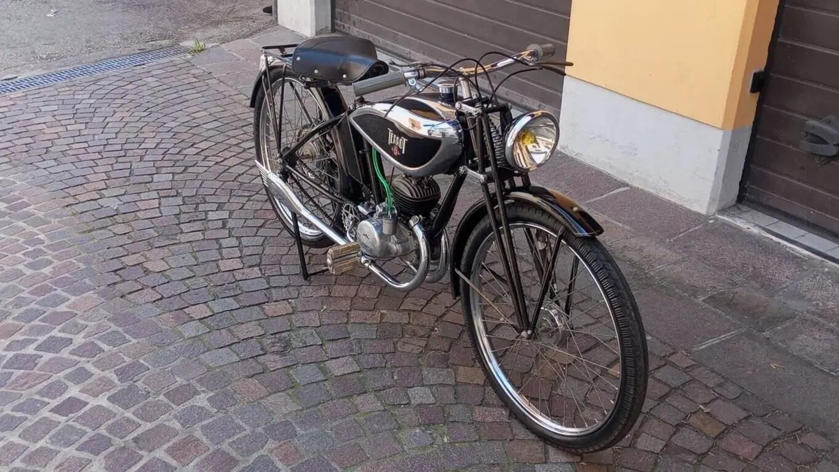 Terrot   (17)
