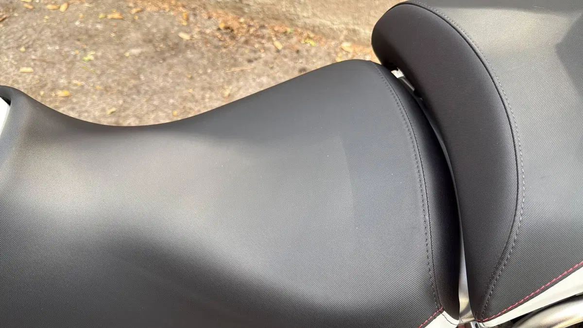Bmw R 1200 GS (2010 - 12)  (20)