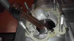 Tgm   (6)
