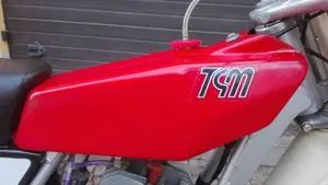 Tgm   (10)