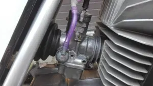 Tgm   (11)