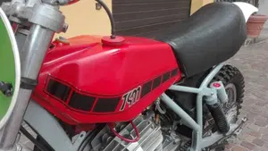Tgm   (15)