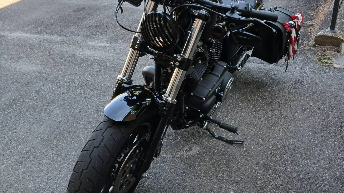 Harley-Davidson 1200 Forty-Eight (2016 - 20)  (4)