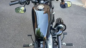 Harley-Davidson 1200 Forty-Eight (2016 - 20)  (7)