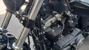 Harley-Davidson 1200 Forty-Eight (2016 - 20)  (9)