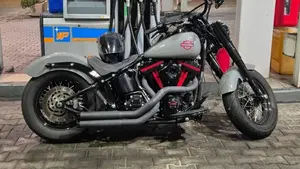 Harley-Davidson 1690 Slim (2011 - 16) - FLS  (2)