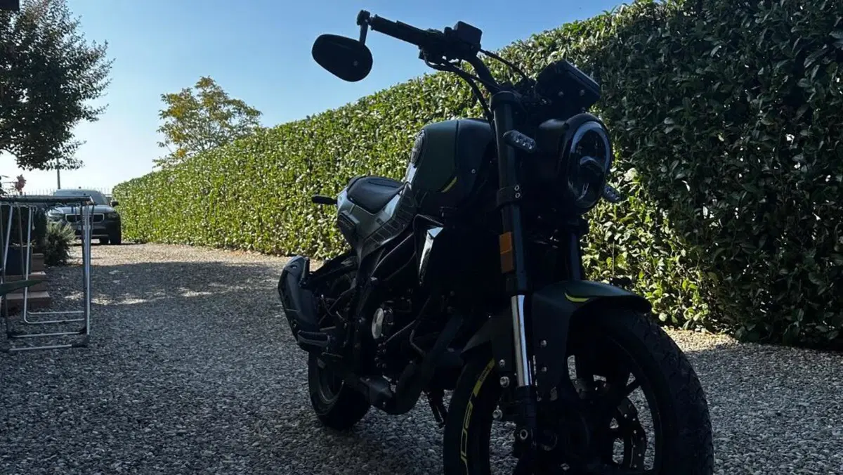 Benelli Leoncino 125 (2022 - 25)  (4)