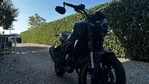 Benelli Leoncino 125 (2022 - 25)  (4)