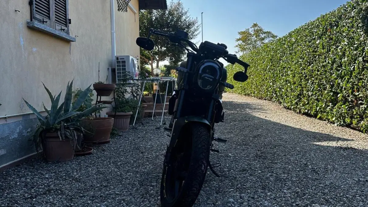 Benelli Leoncino 125 (2022 - 25)  (5)