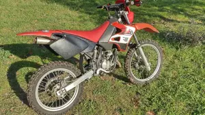 Betamotor   (4)