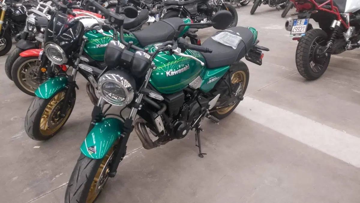 Kawasaki Z 650 RS (2022 - 24) 
