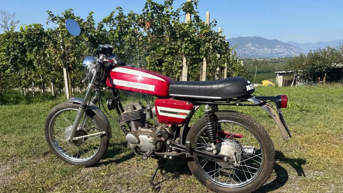 Morini  
