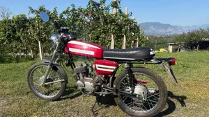 Morini  