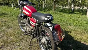 Morini   (2)