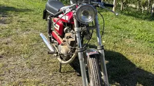 Morini   (5)