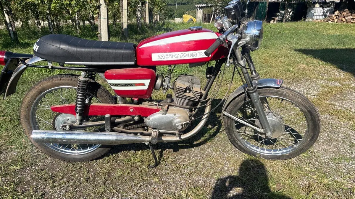 Morini   (6)