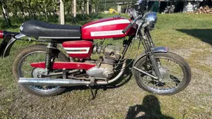 Morini   (6)
