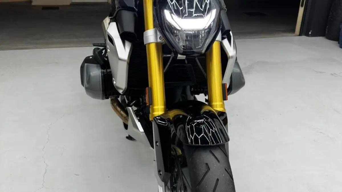 Bmw R 1250 R (2021 - 25)  (6)