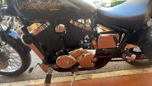 Honda Black Widow  (3)