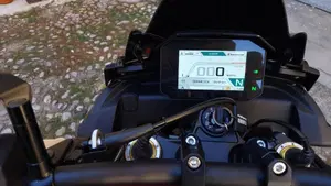 Aprilia Tuono V4 Factory (2021 - 24)  (4)