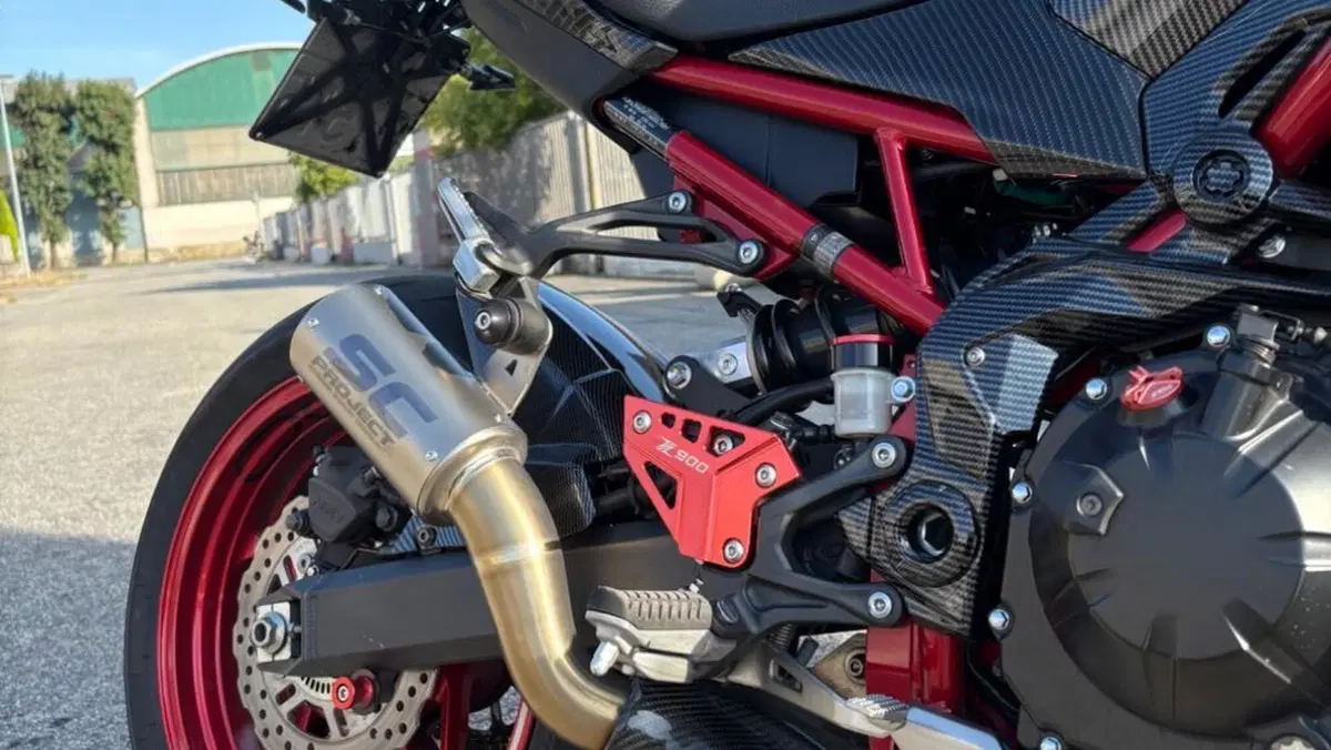 Kawasaki Z 900 (2021 - 24)  (3)
