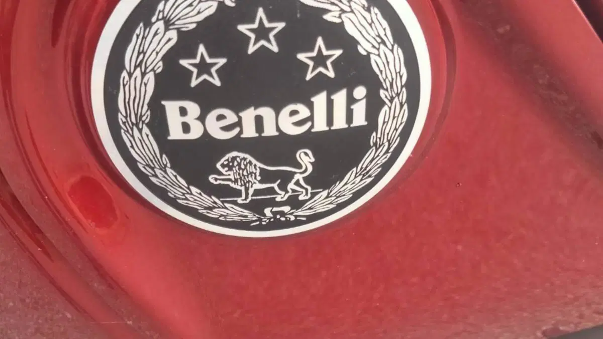 Benelli Leoncino 500 (2021 - 25)  (4)