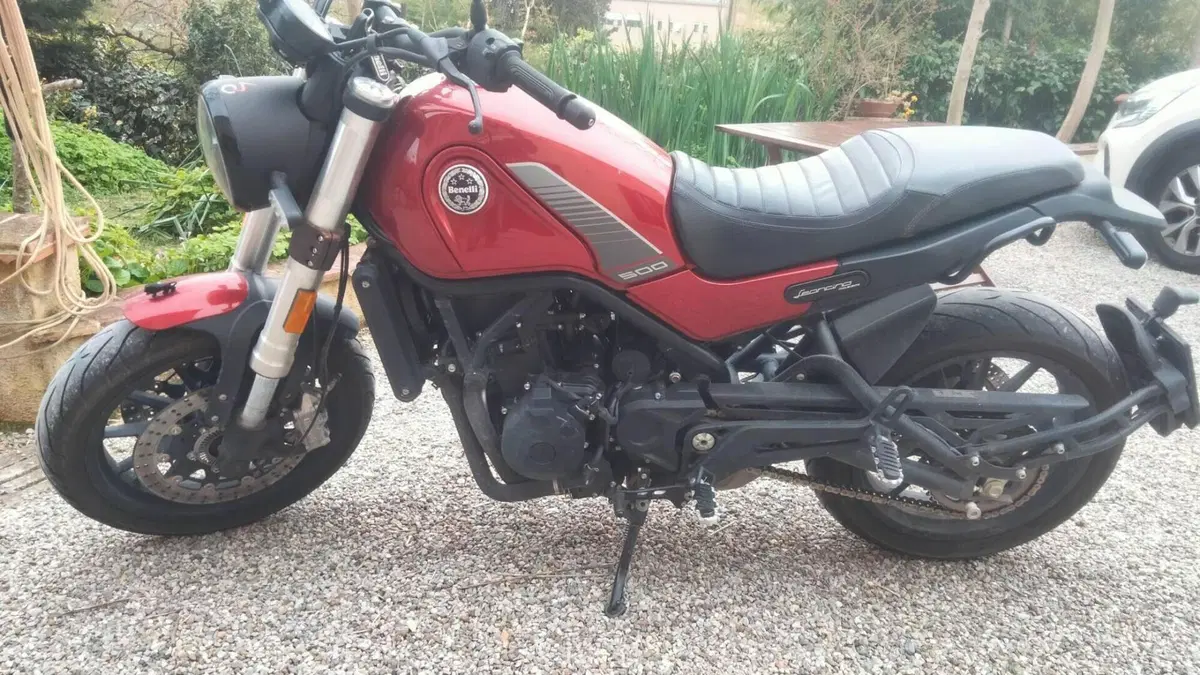 Benelli Leoncino 500 (2021 - 25)  (6)