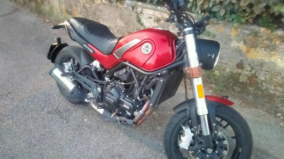 Benelli Leoncino 500 (2021 - 25)  (7)