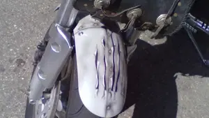 Suzuki Marauder VZ 800  (5)