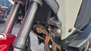 Ducati Multistrada V4 Rally (2023 - 25)  (3)