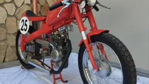 Motom   (5)