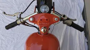 Motom   (19)