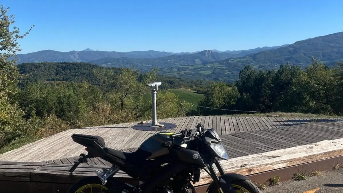 Yamaha MT-125 ABS (2017 - 19)  (5)