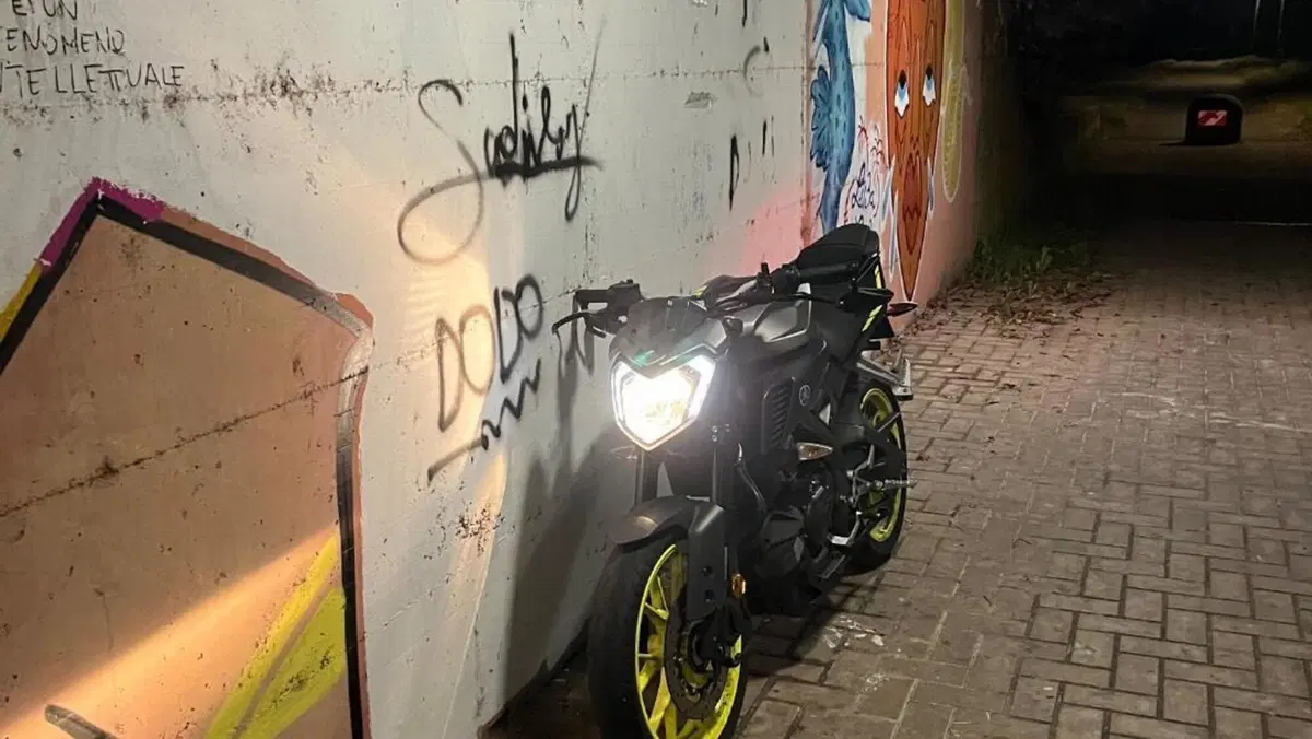 Yamaha MT-125 ABS (2017 - 19)  (6)